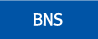 BNS
