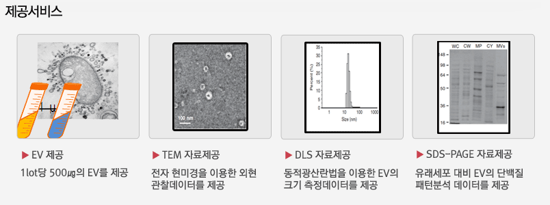 P-BNS제품구매시 제공서비스