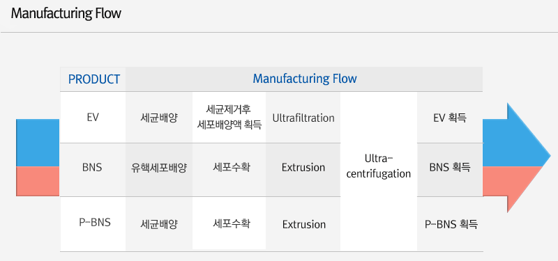 Manufacturing Flow - EV, P-BNS